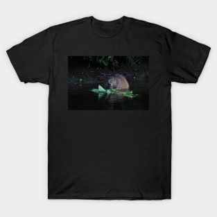 Beaver eating T-Shirt